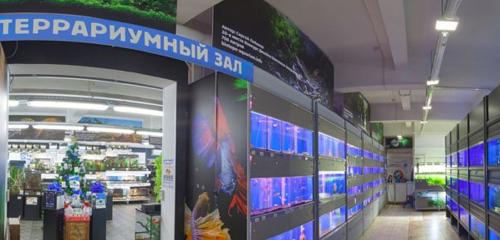 Панорама — аквариумы Экзоменю, Санкт‑Петербург
