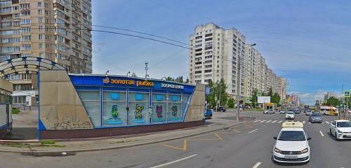Panorama — pet shop Zolotaya rybka, Saint Petersburg