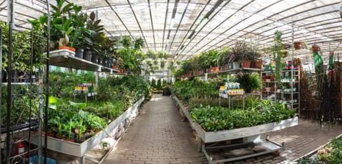 Panorama — garden center Sadovy tsentr, Krasnodar