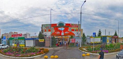 Panorama — gıda pazarı Tk na Topolchanskoy, Saratov
